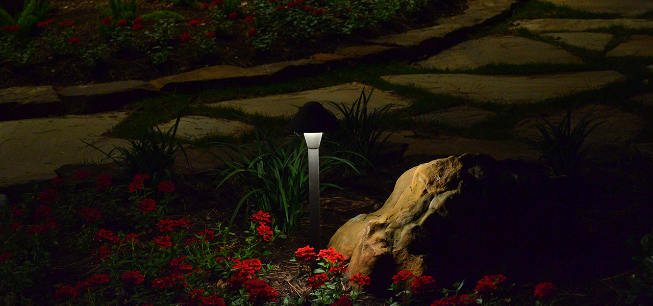 A small path light in a bed of red flowers