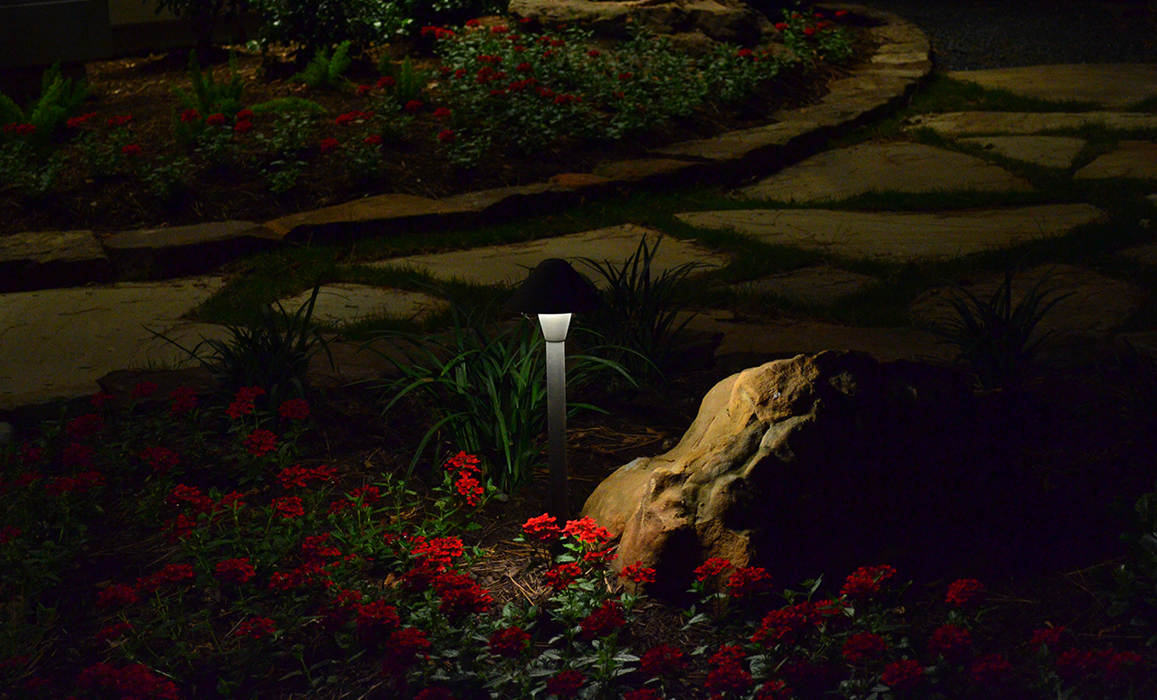 A small path light in a bed of red flowers